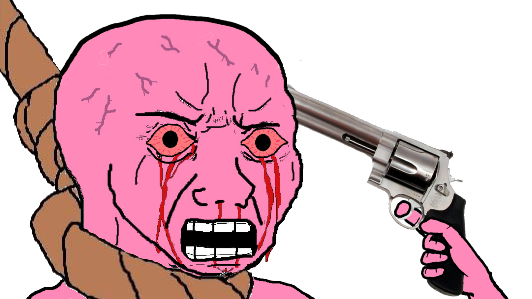THE PINK WOJAK ERA